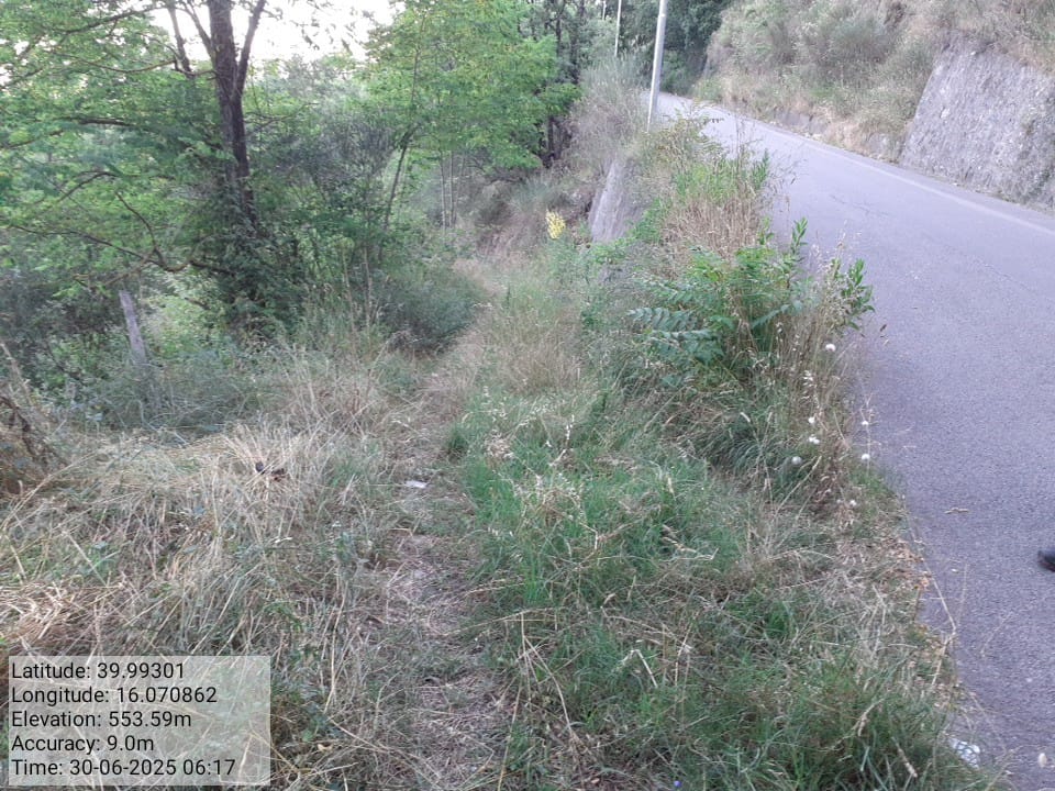 Galleria Fotografica Immagine