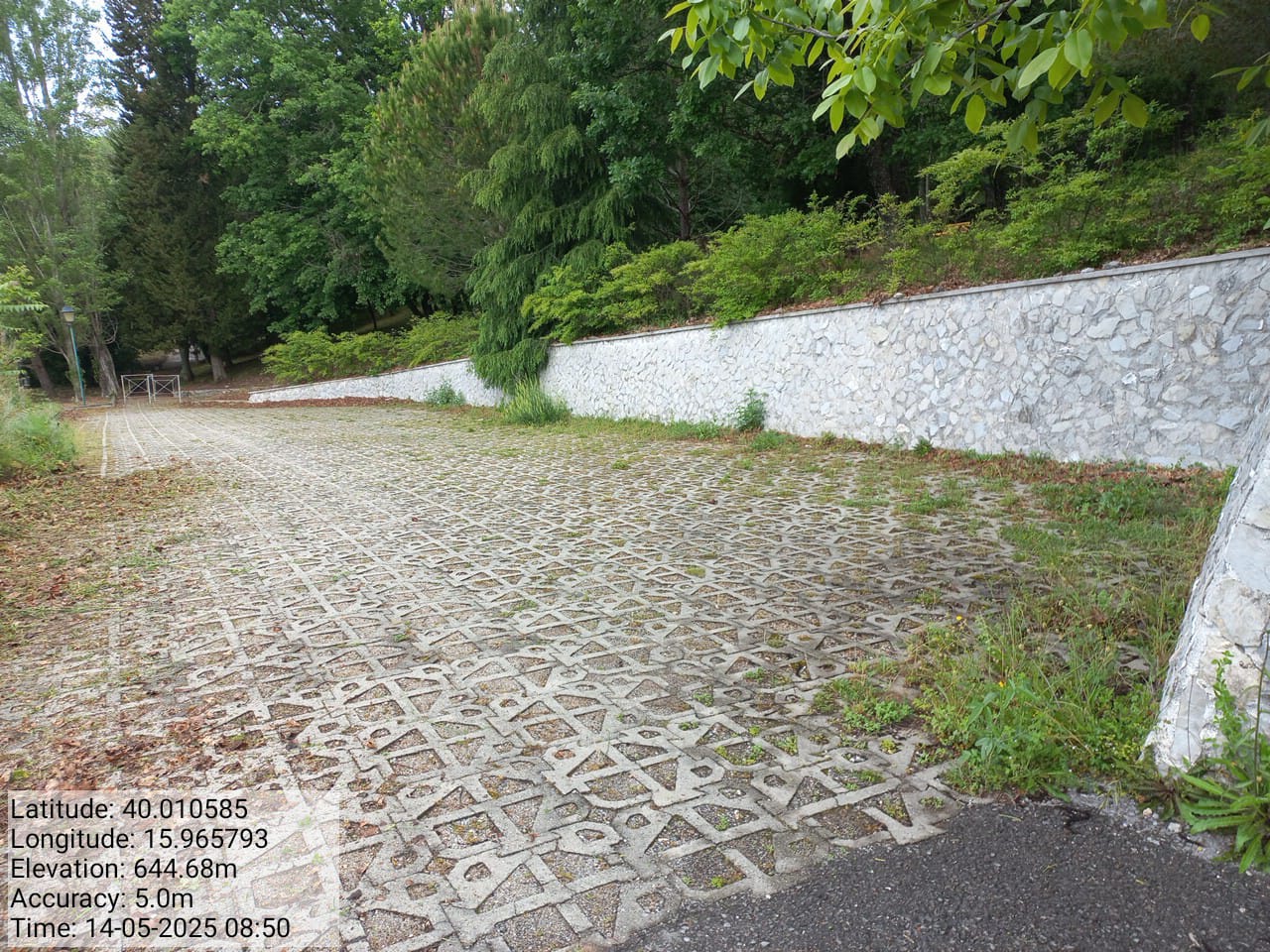 Galleria Fotografica Immagine