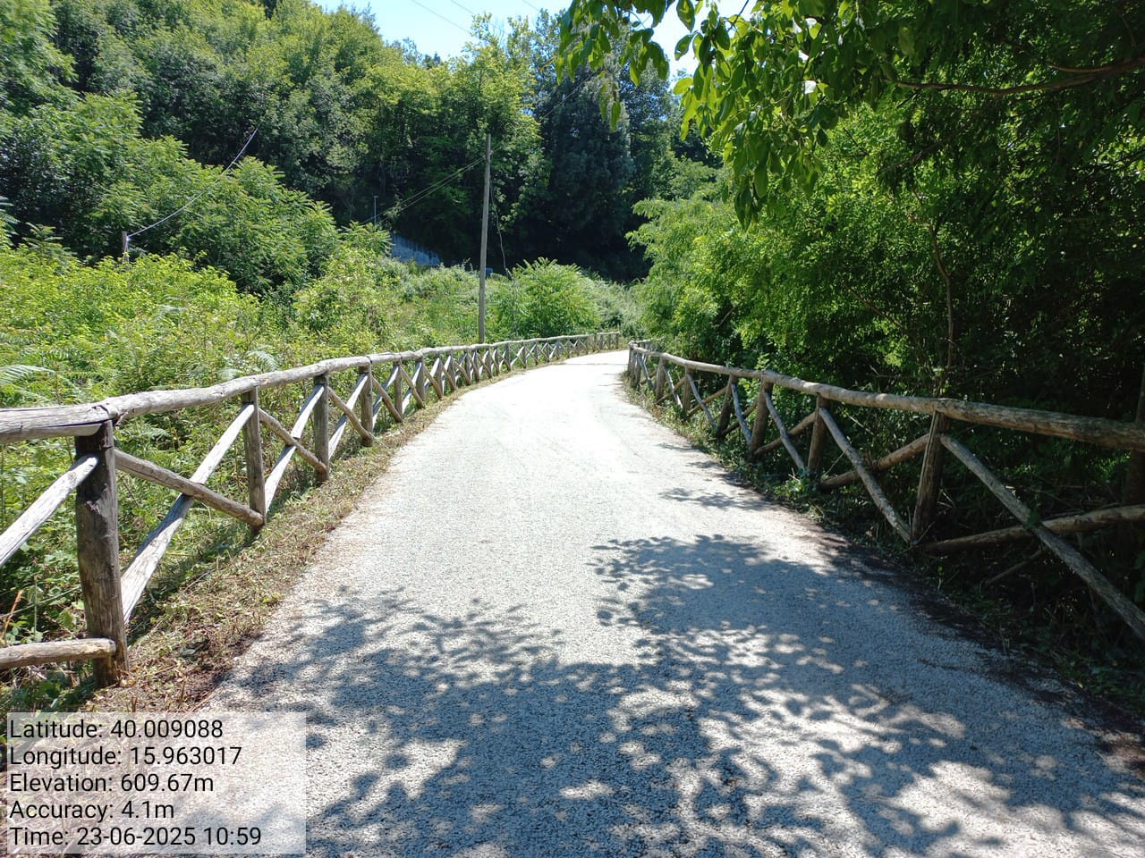 Galleria Fotografica Immagine