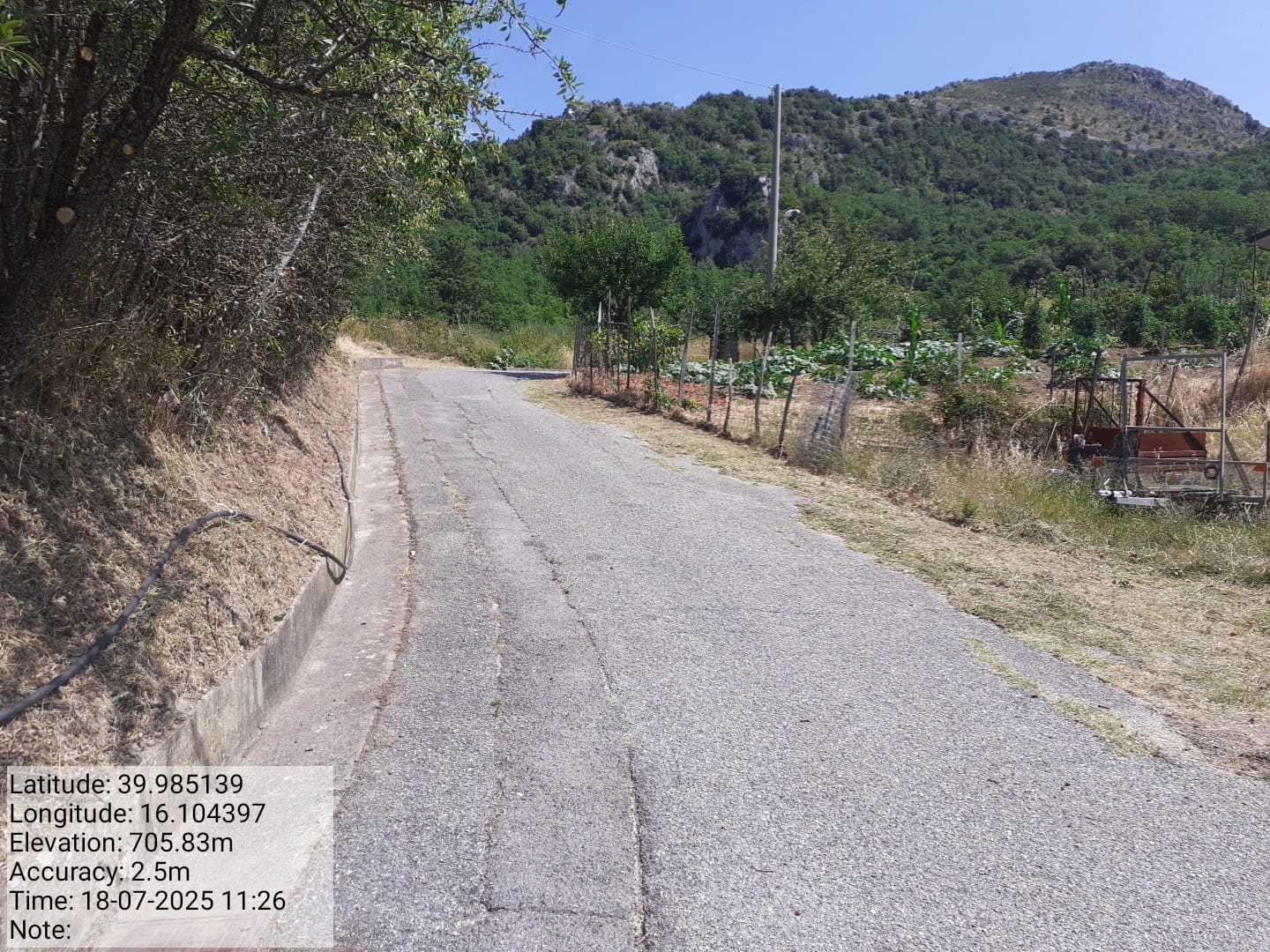 Galleria Fotografica Immagine