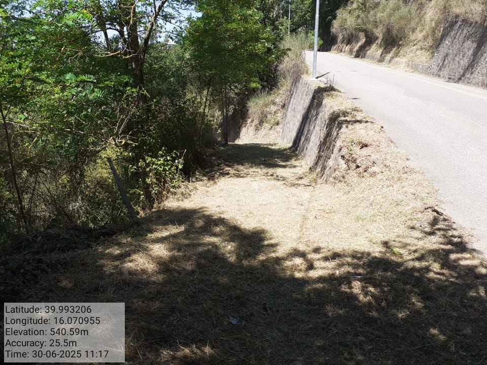 Galleria Fotografica Immagine