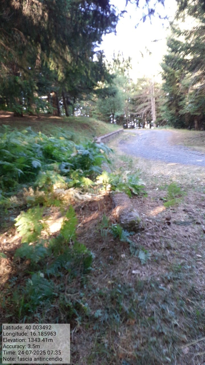 Galleria Fotografica Immagine