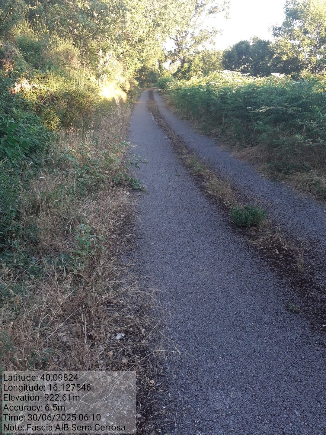 Galleria Fotografica Immagine