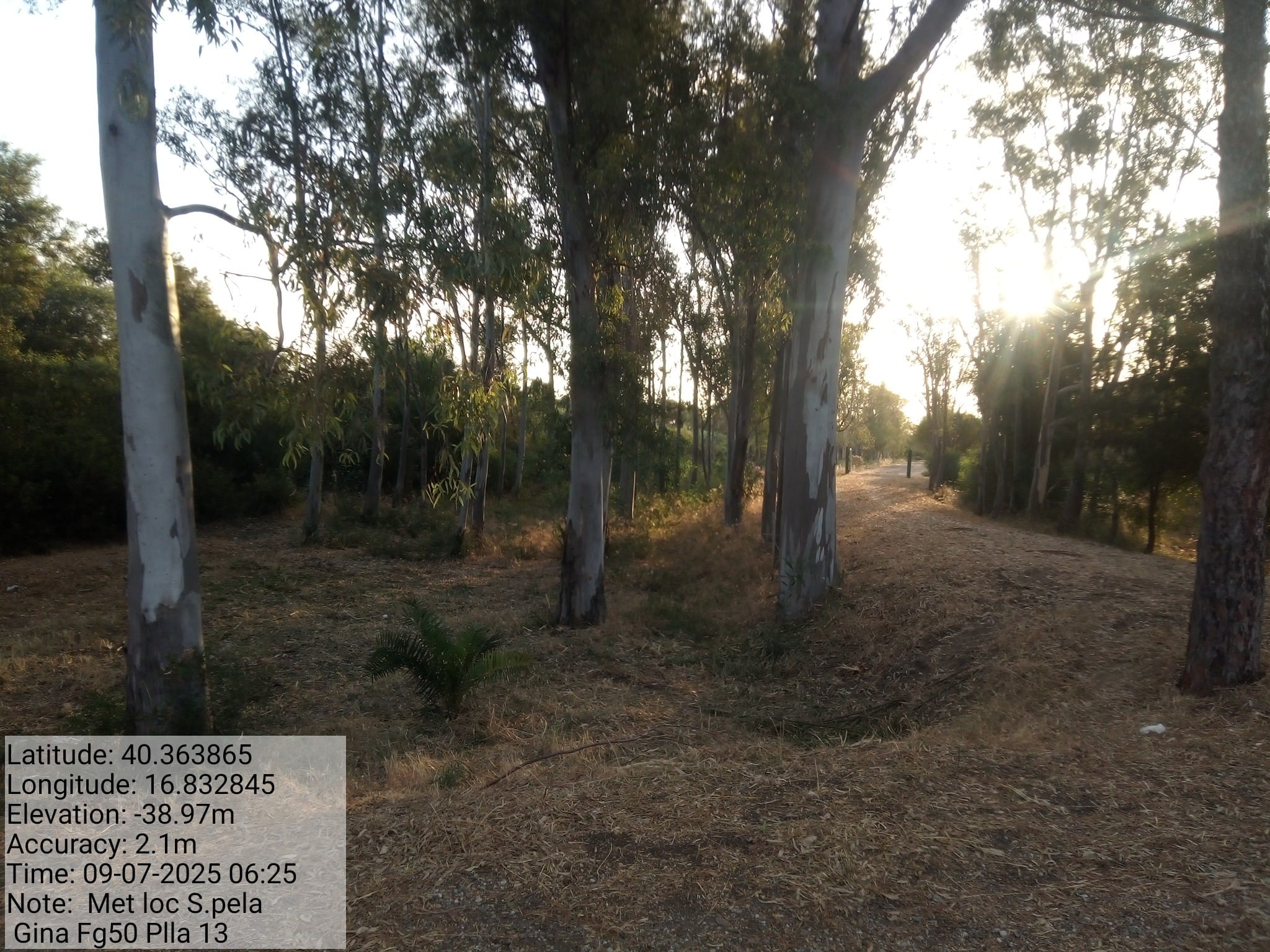 Galleria Fotografica Immagine