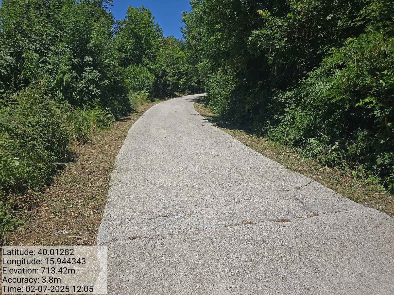 Galleria Fotografica Immagine