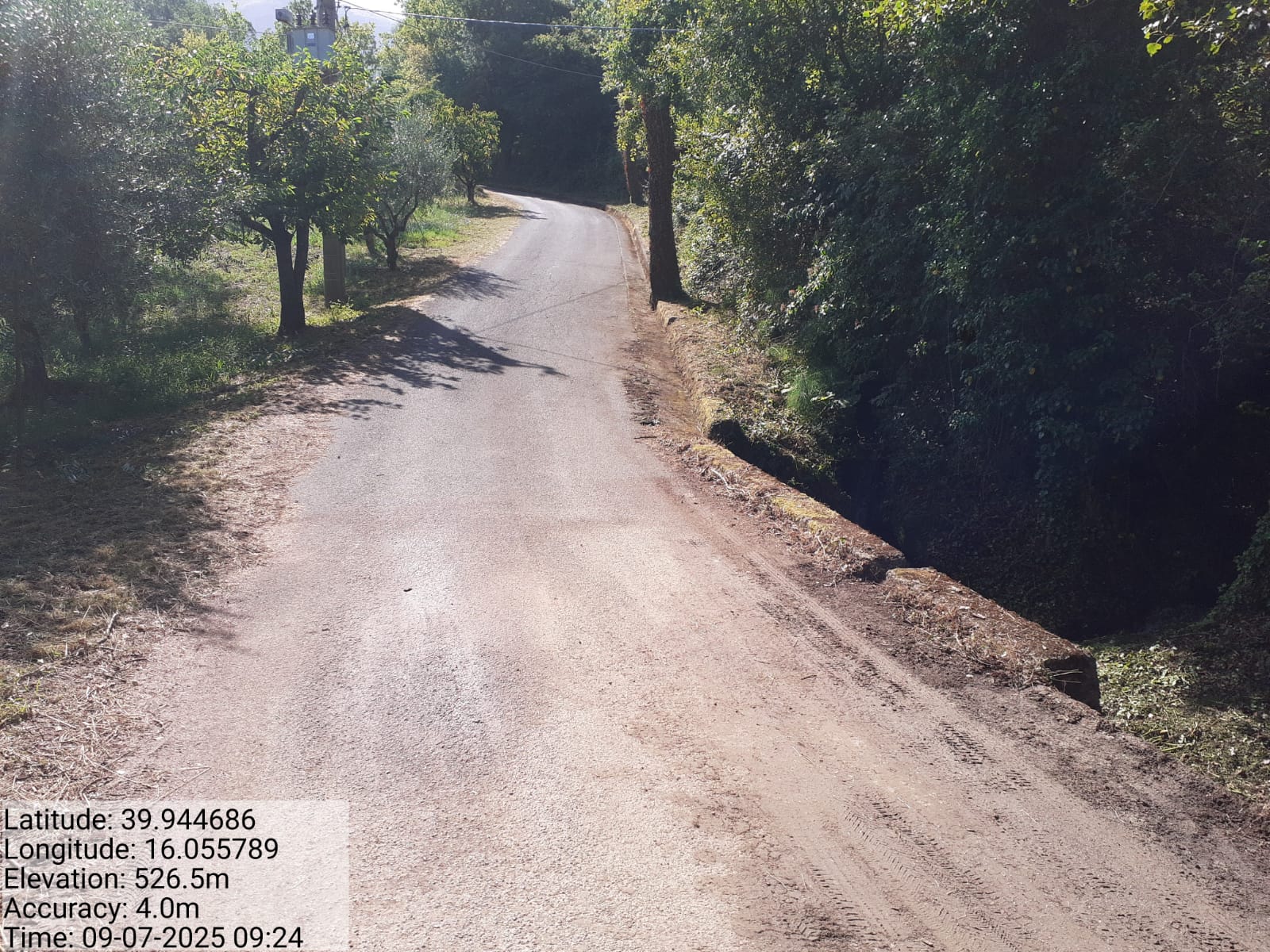 Galleria Fotografica Immagine