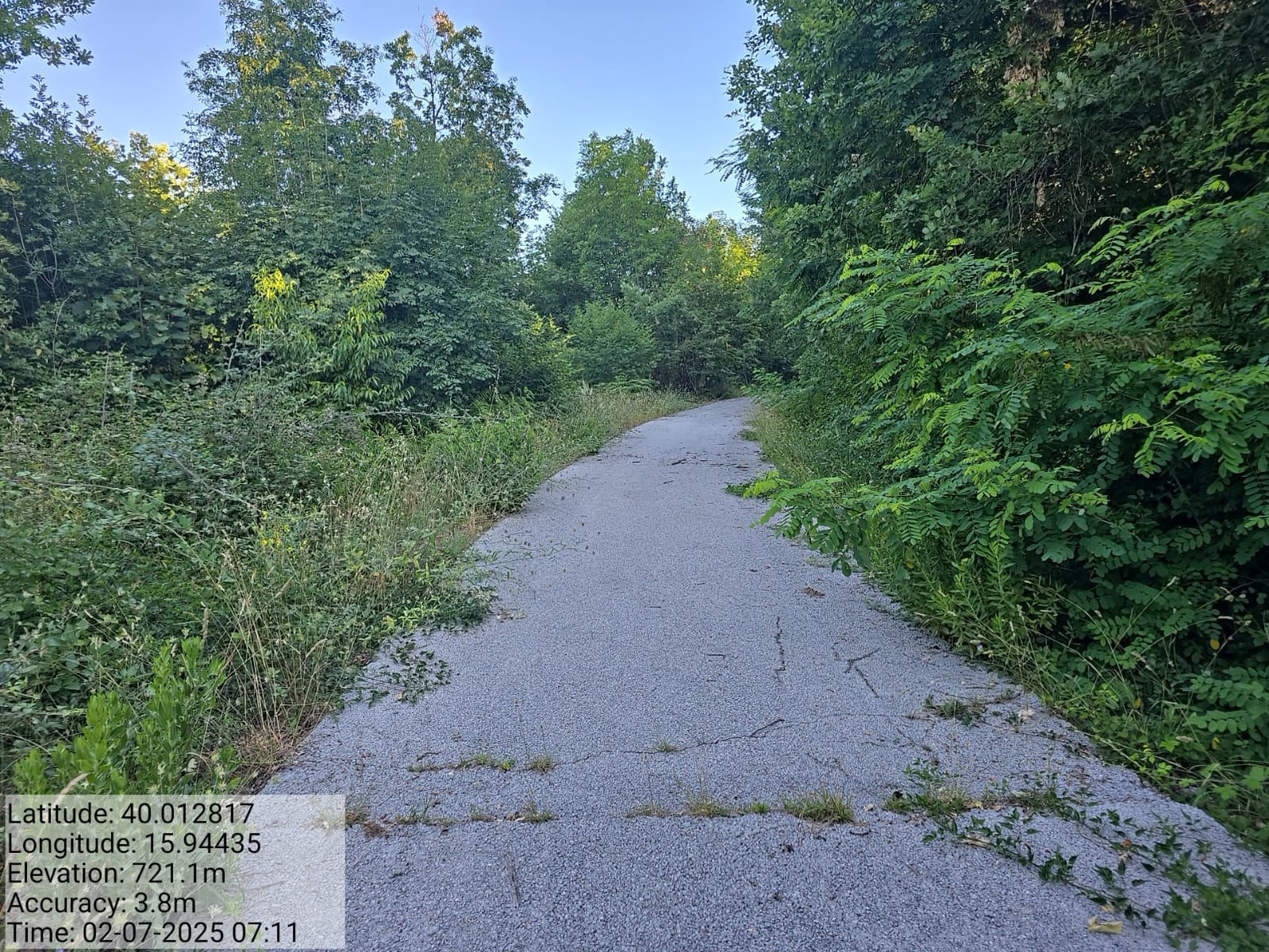 Galleria Fotografica Immagine