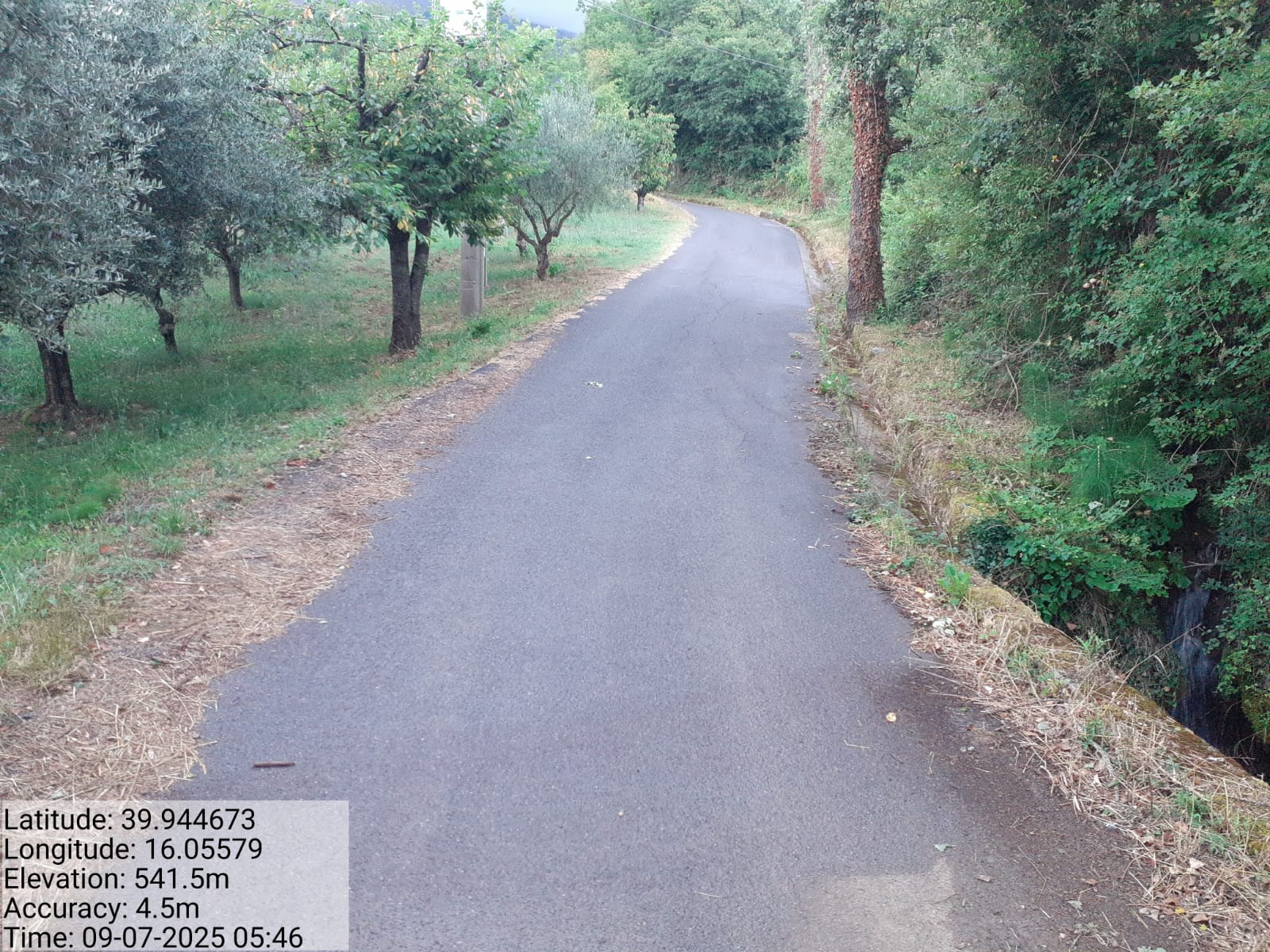 Galleria Fotografica Immagine