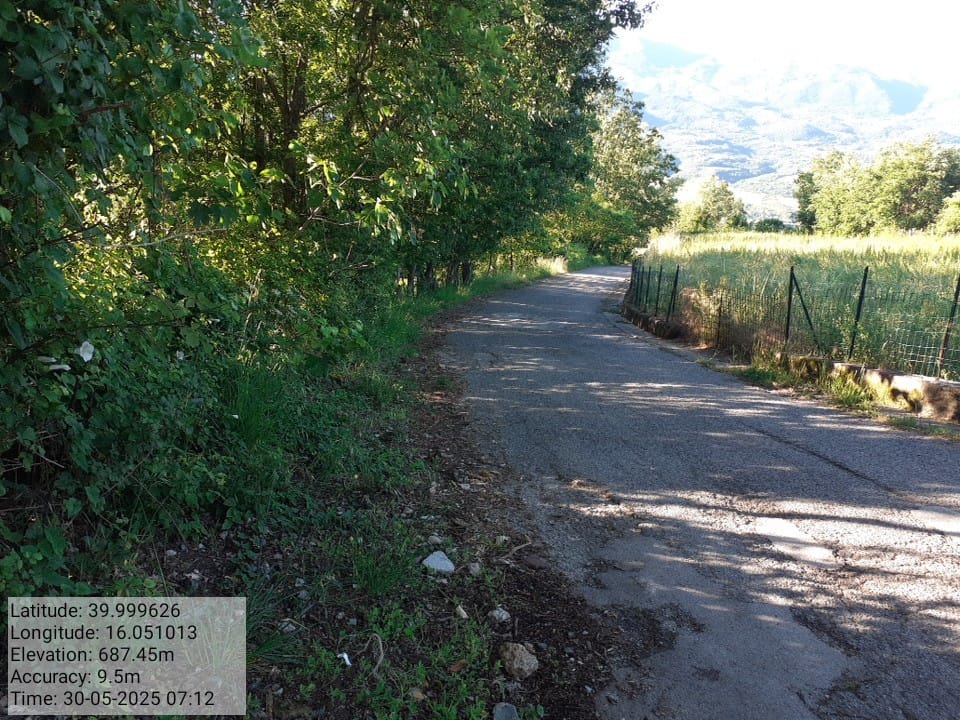 Galleria Fotografica Immagine