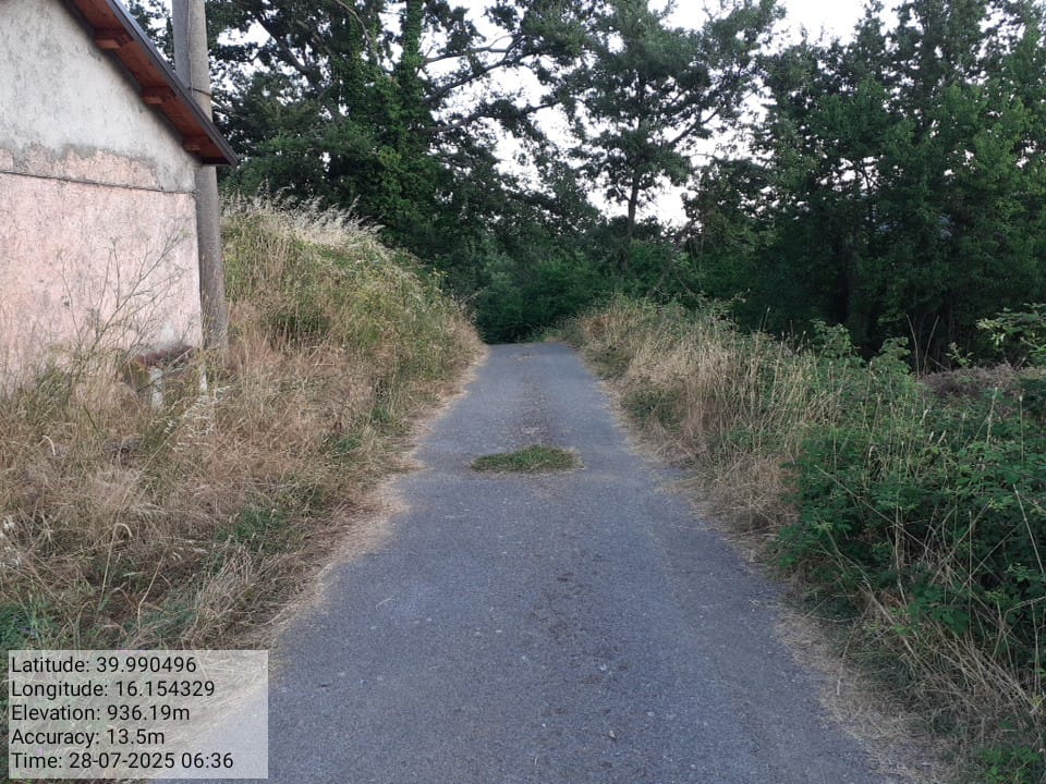 Galleria Fotografica Immagine