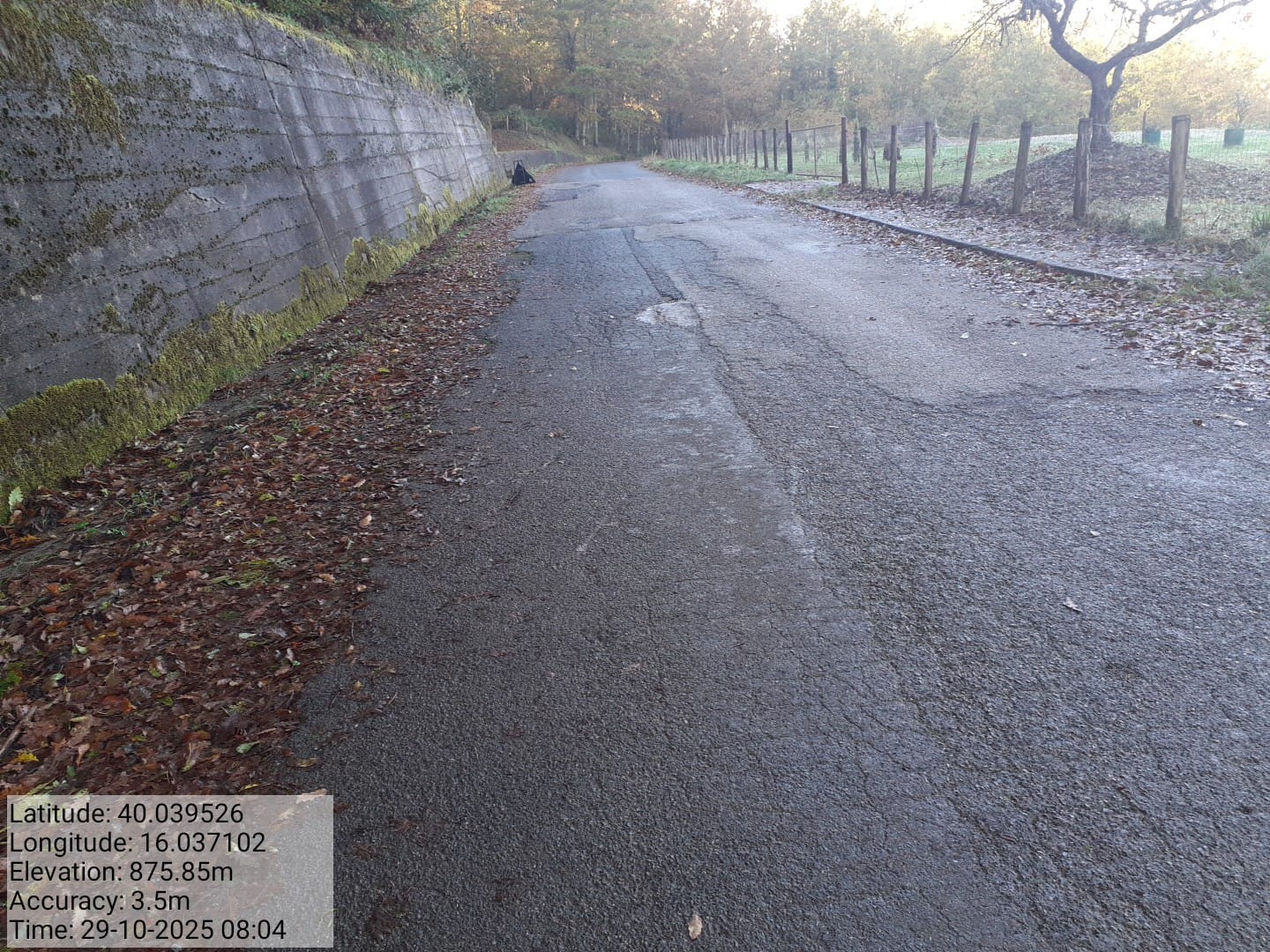 Galleria Fotografica Immagine