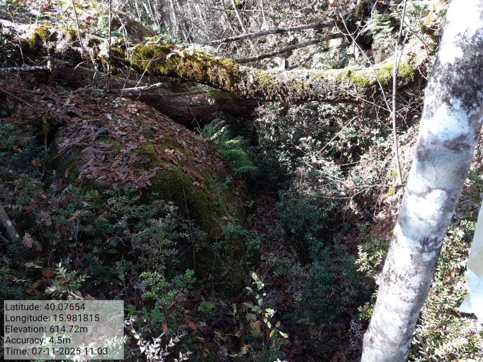 Galleria Fotografica Immagine