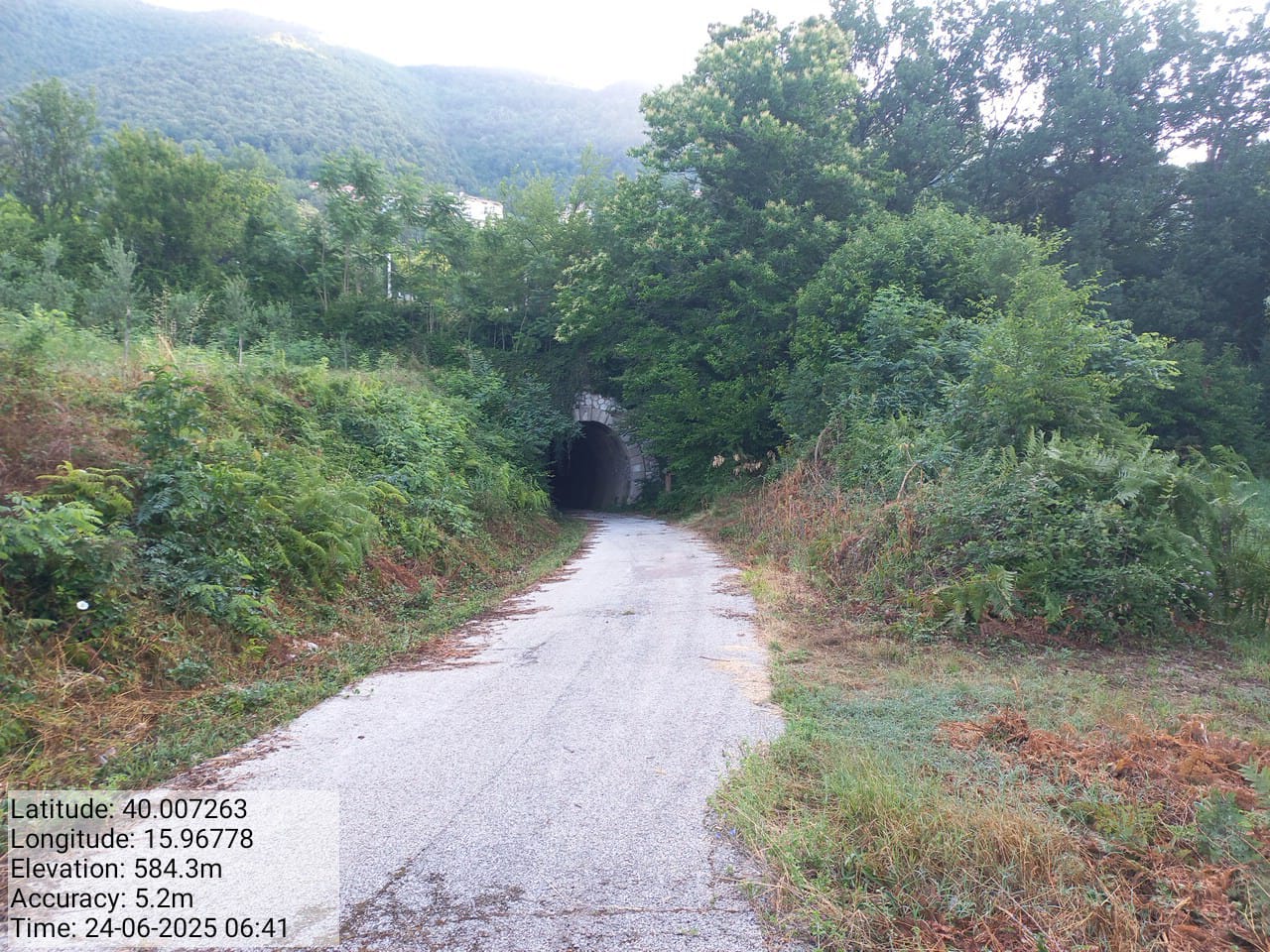 Galleria Fotografica Immagine