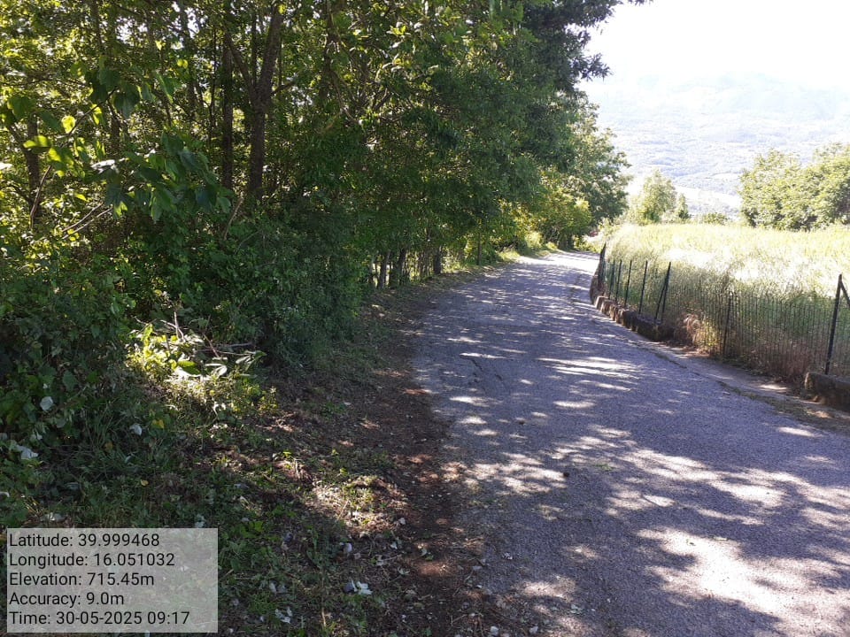 Galleria Fotografica Immagine