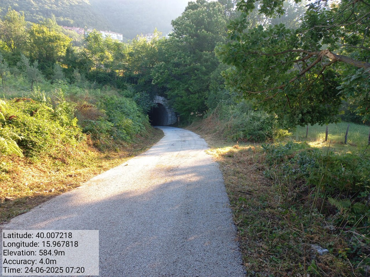 Galleria Fotografica Immagine