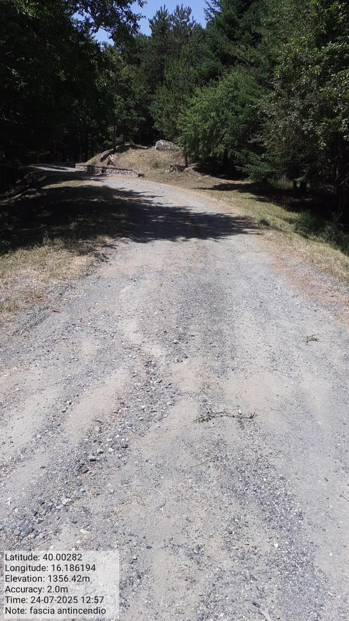 Galleria Fotografica Immagine