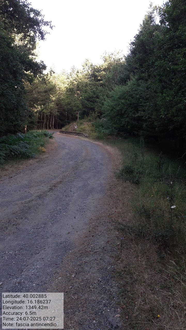 Galleria Fotografica Immagine