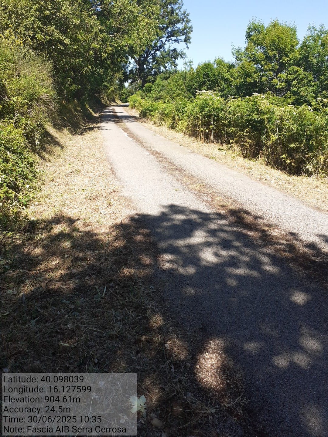 Galleria Fotografica Immagine