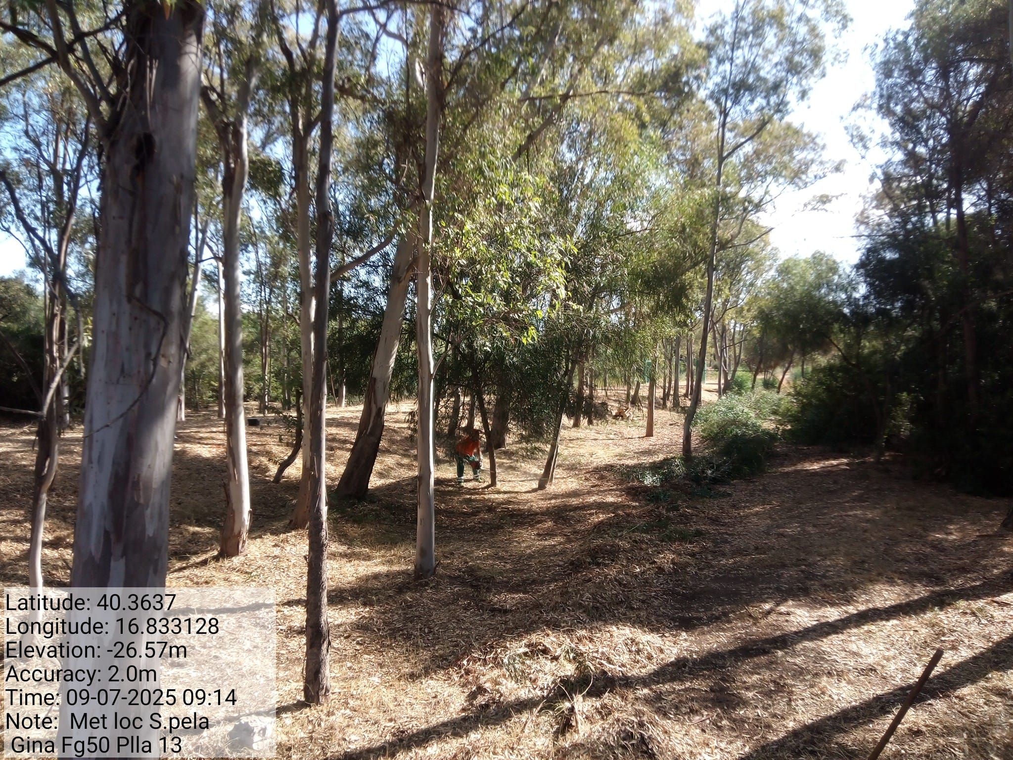 Galleria Fotografica Immagine