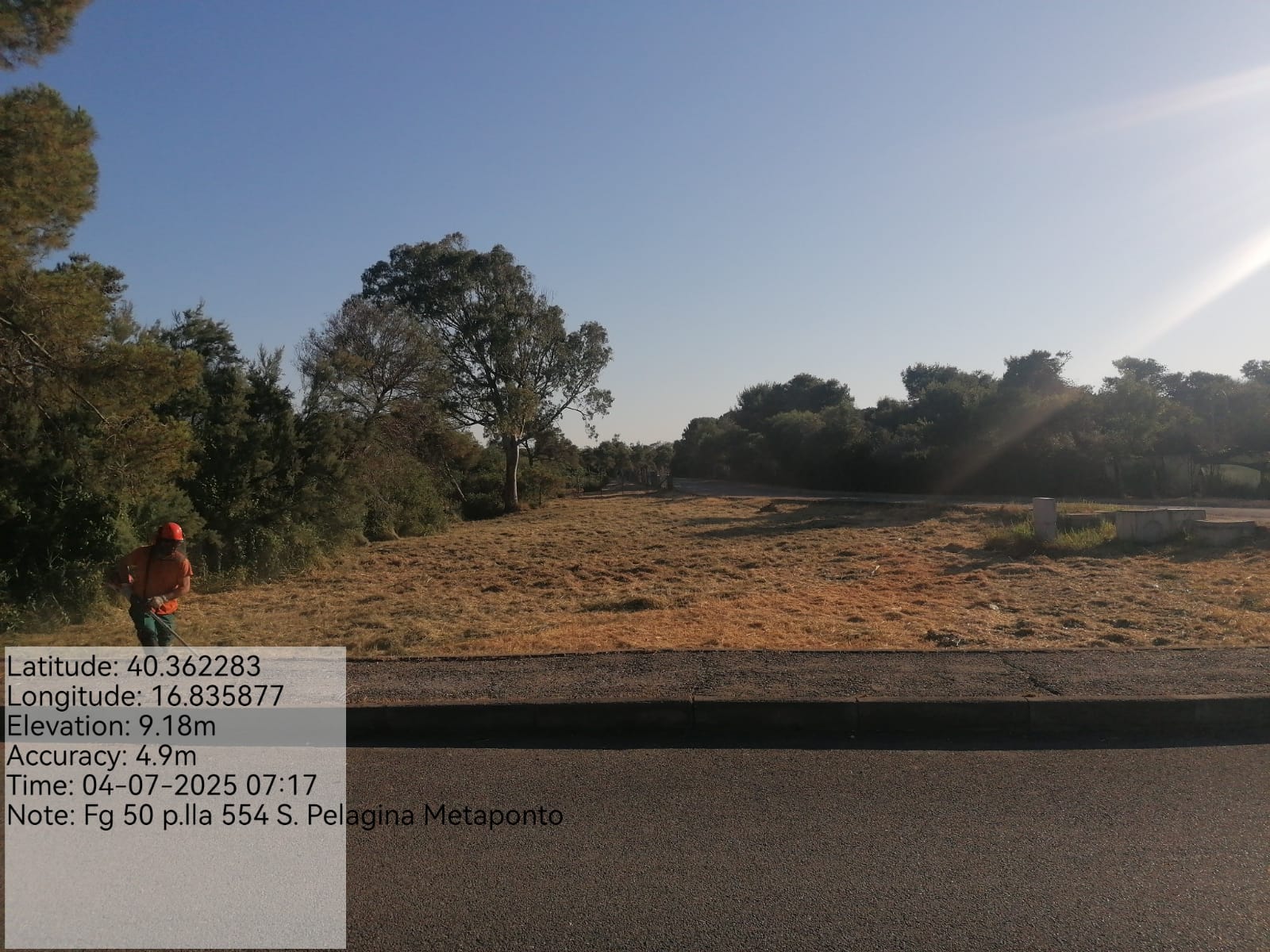 Galleria Fotografica Immagine