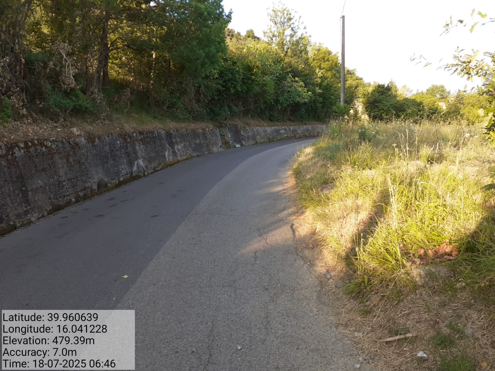 Galleria Fotografica Immagine