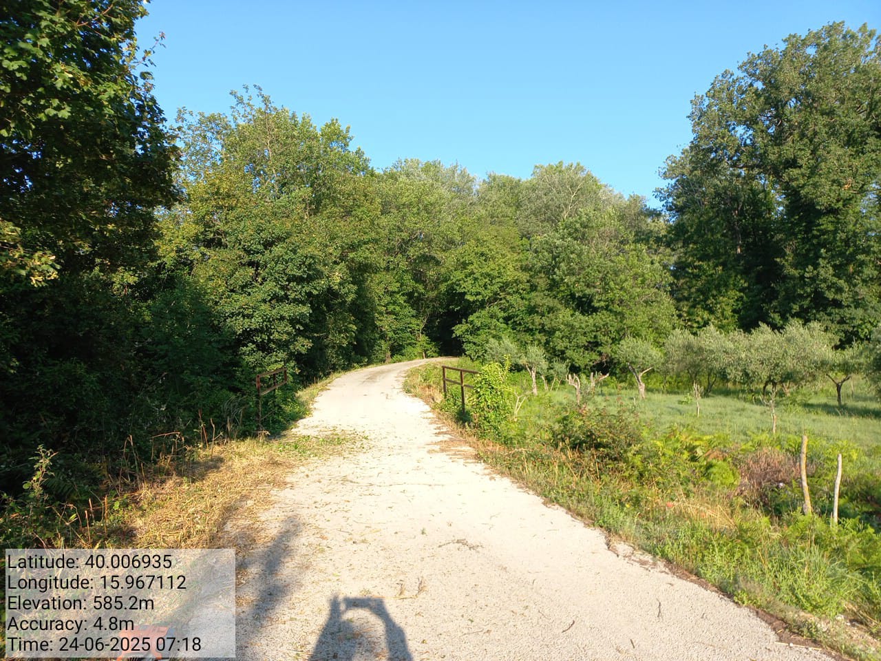 Galleria Fotografica Immagine