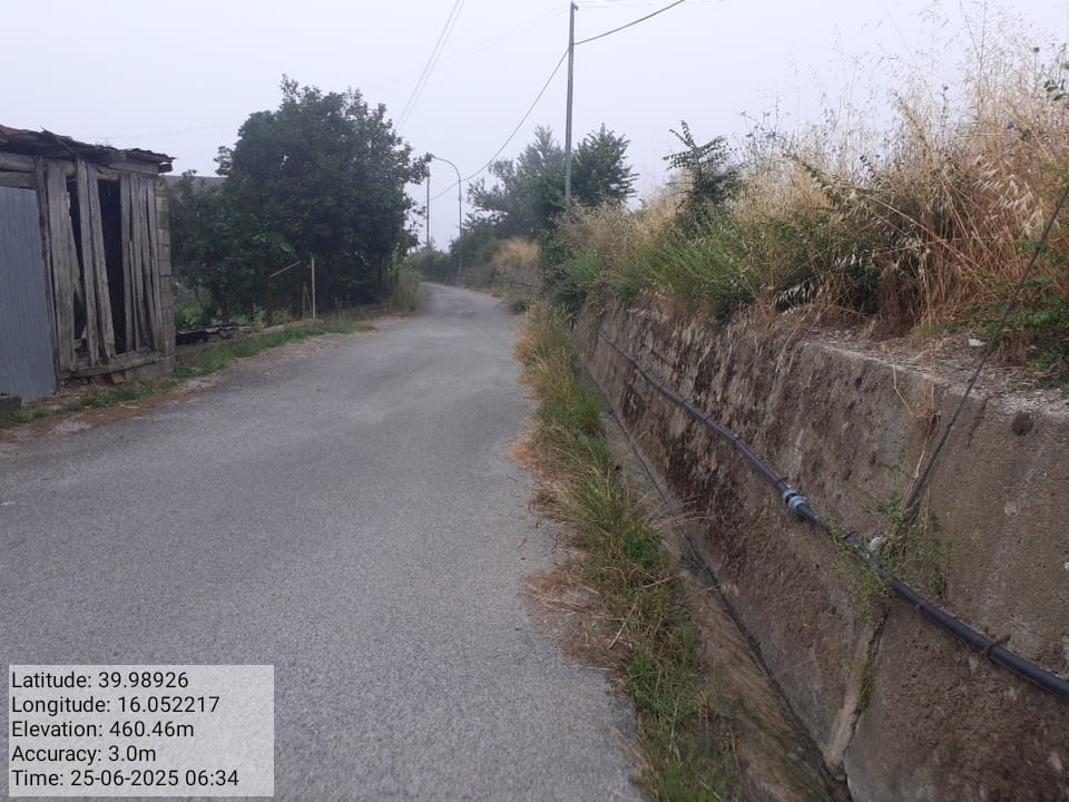 Galleria Fotografica Immagine