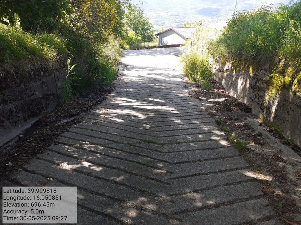 Galleria Fotografica Immagine