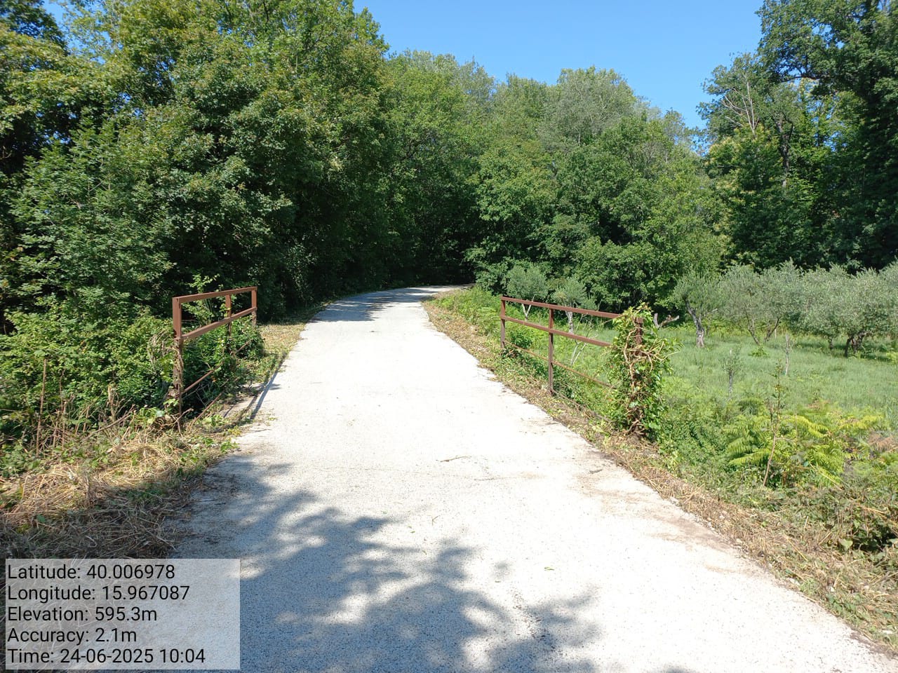 Galleria Fotografica Immagine