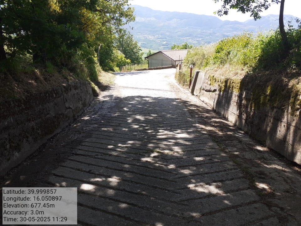 Galleria Fotografica Immagine