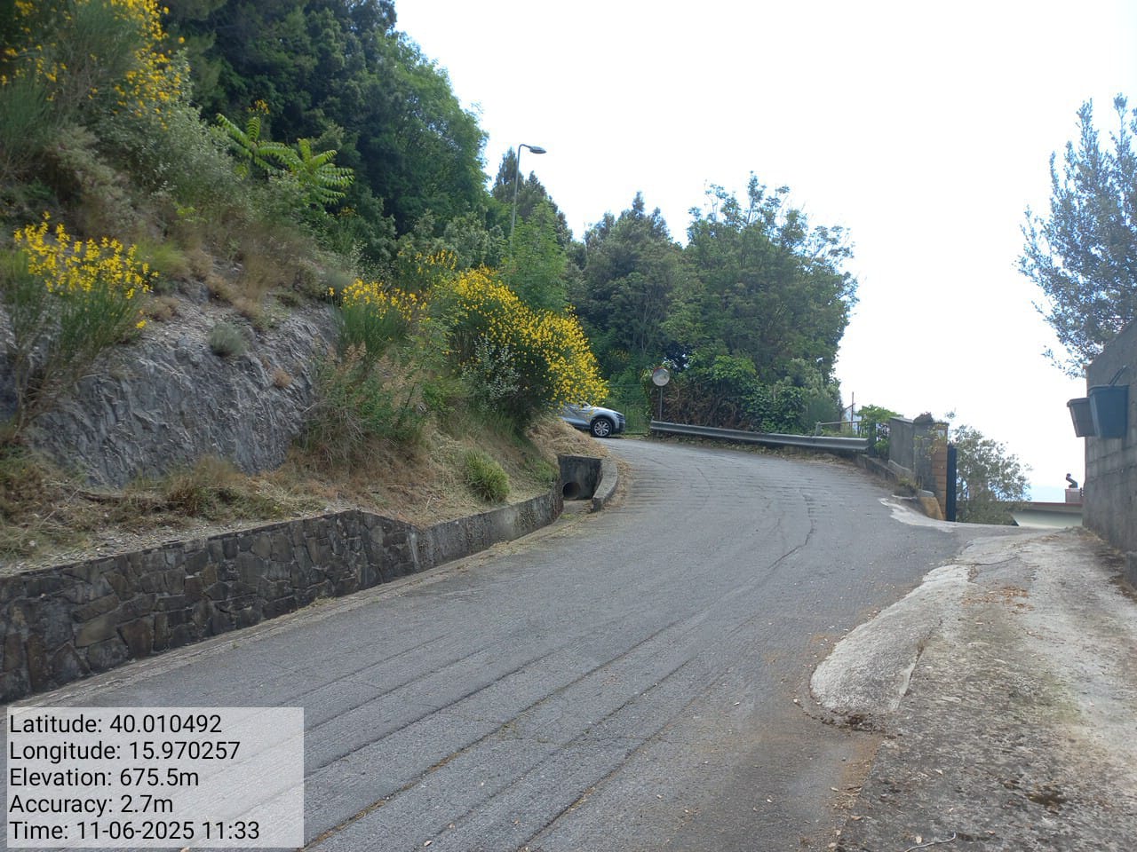 Galleria Fotografica Immagine