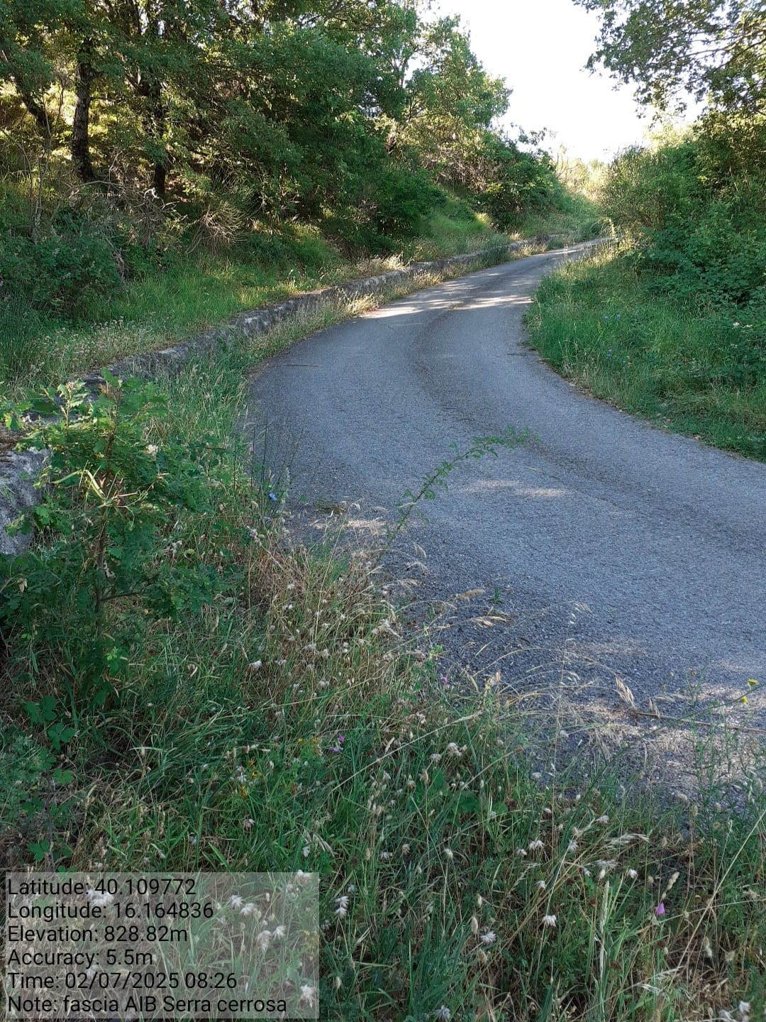 Galleria Fotografica Immagine