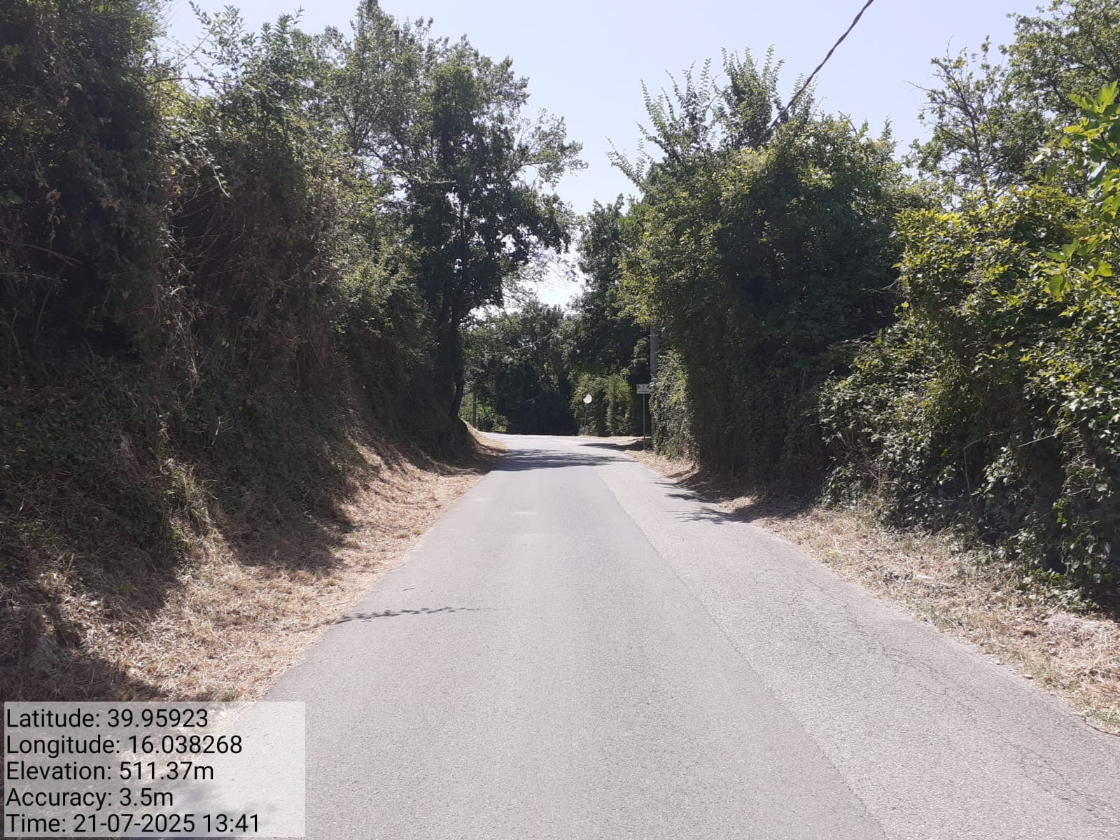 Galleria Fotografica Immagine