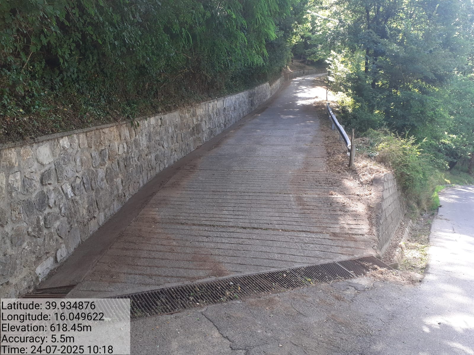 Galleria Fotografica Immagine