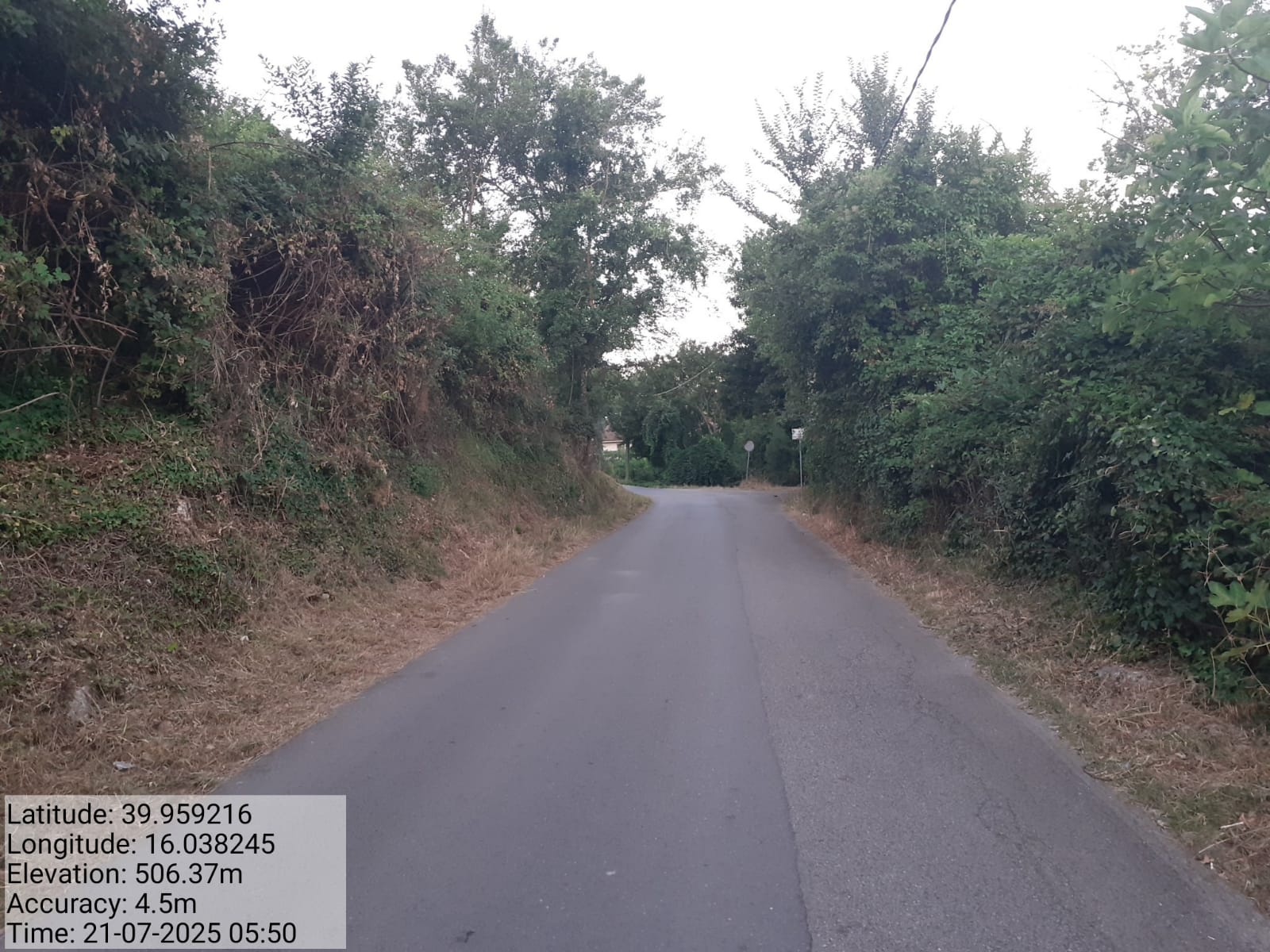 Galleria Fotografica Immagine