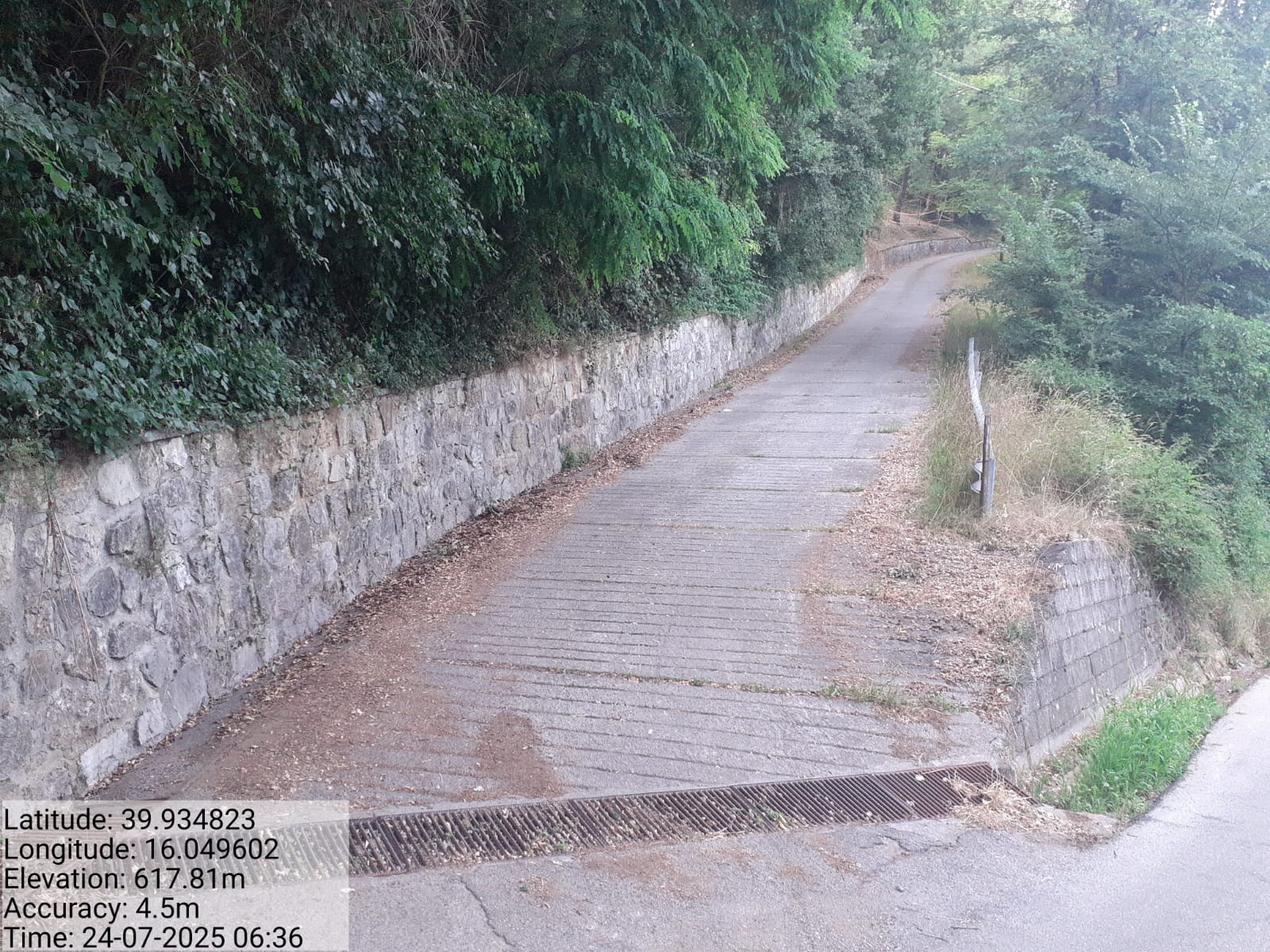 Galleria Fotografica Immagine