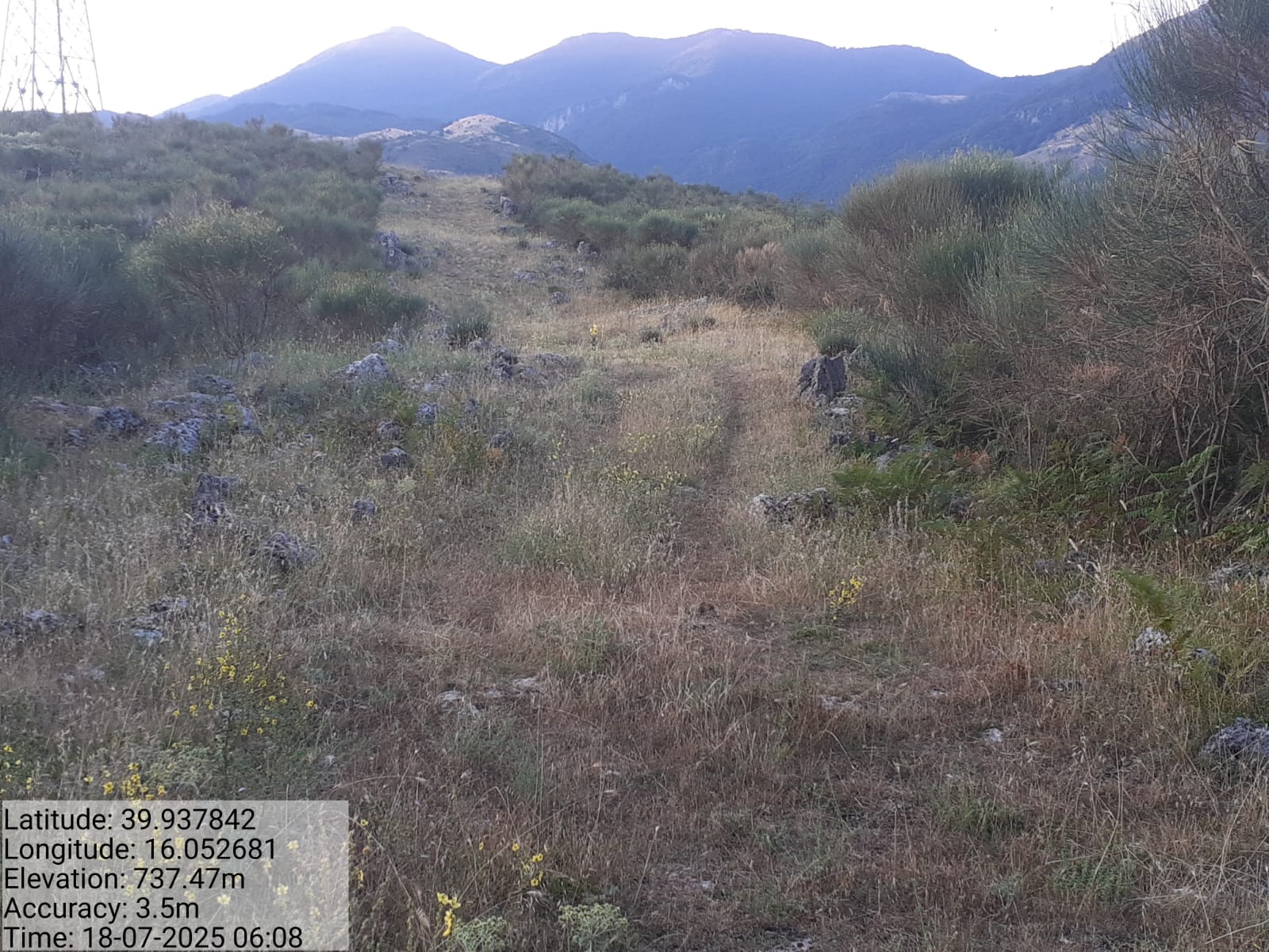 Galleria Fotografica Immagine