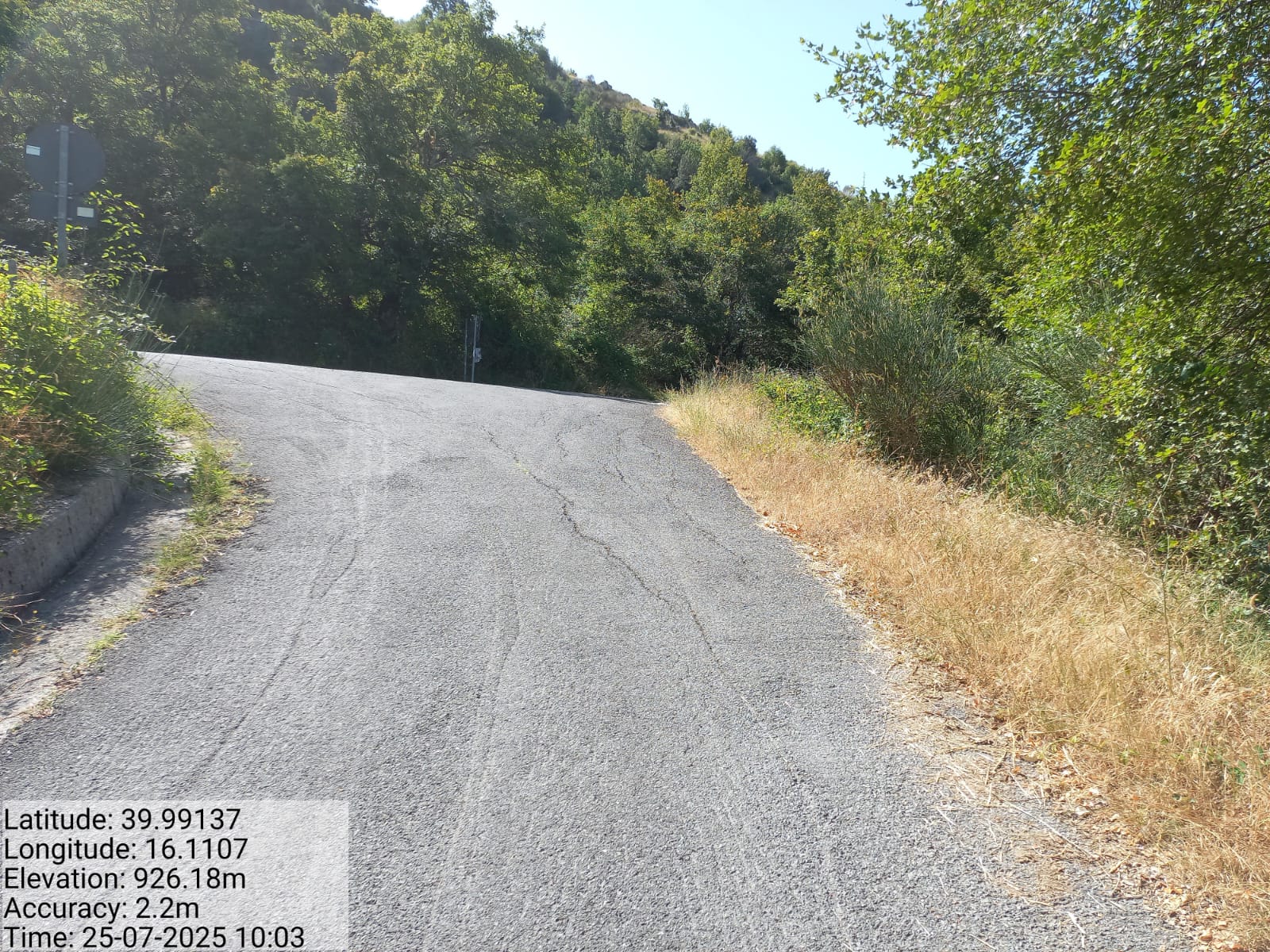 Galleria Fotografica Immagine