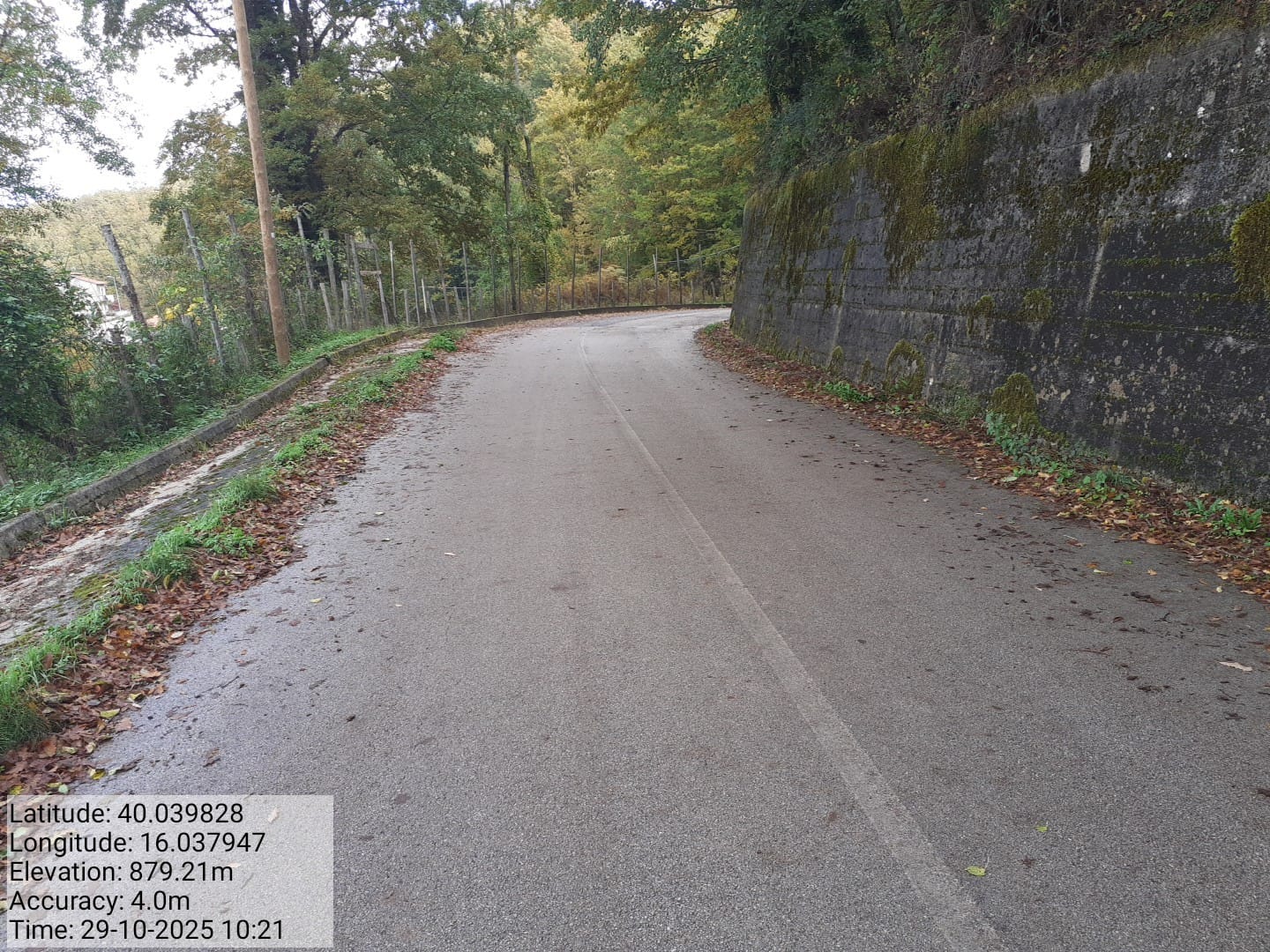 Galleria Fotografica Immagine