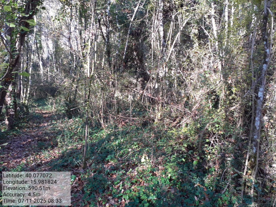 Galleria Fotografica Immagine