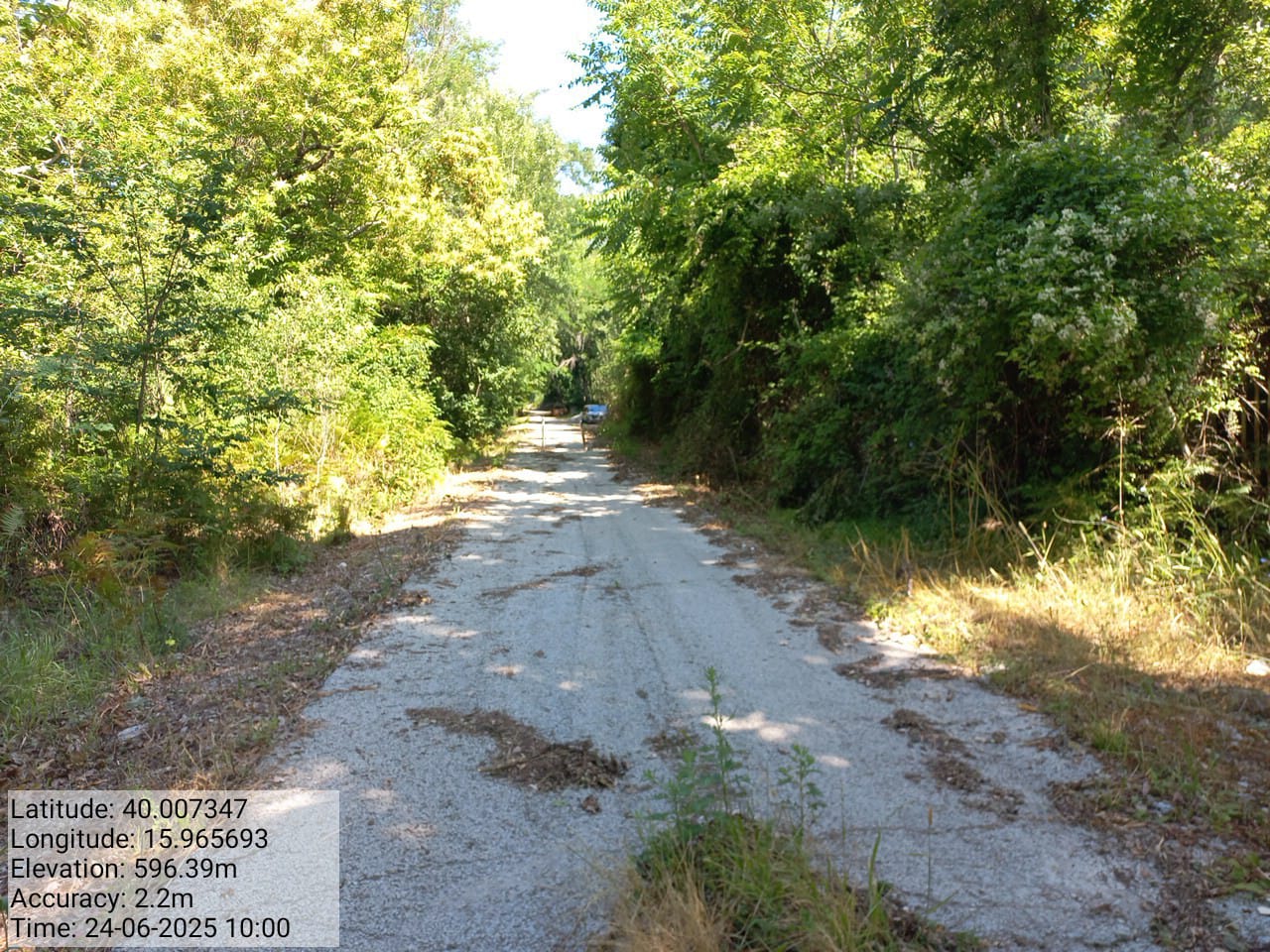 Galleria Fotografica Immagine