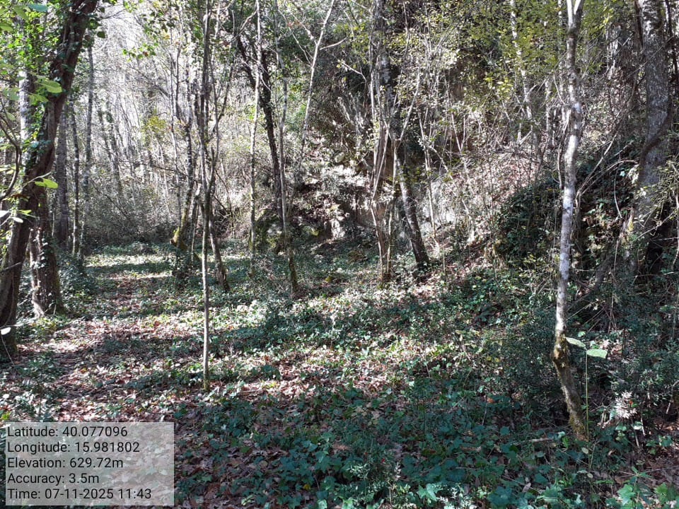 Galleria Fotografica Immagine