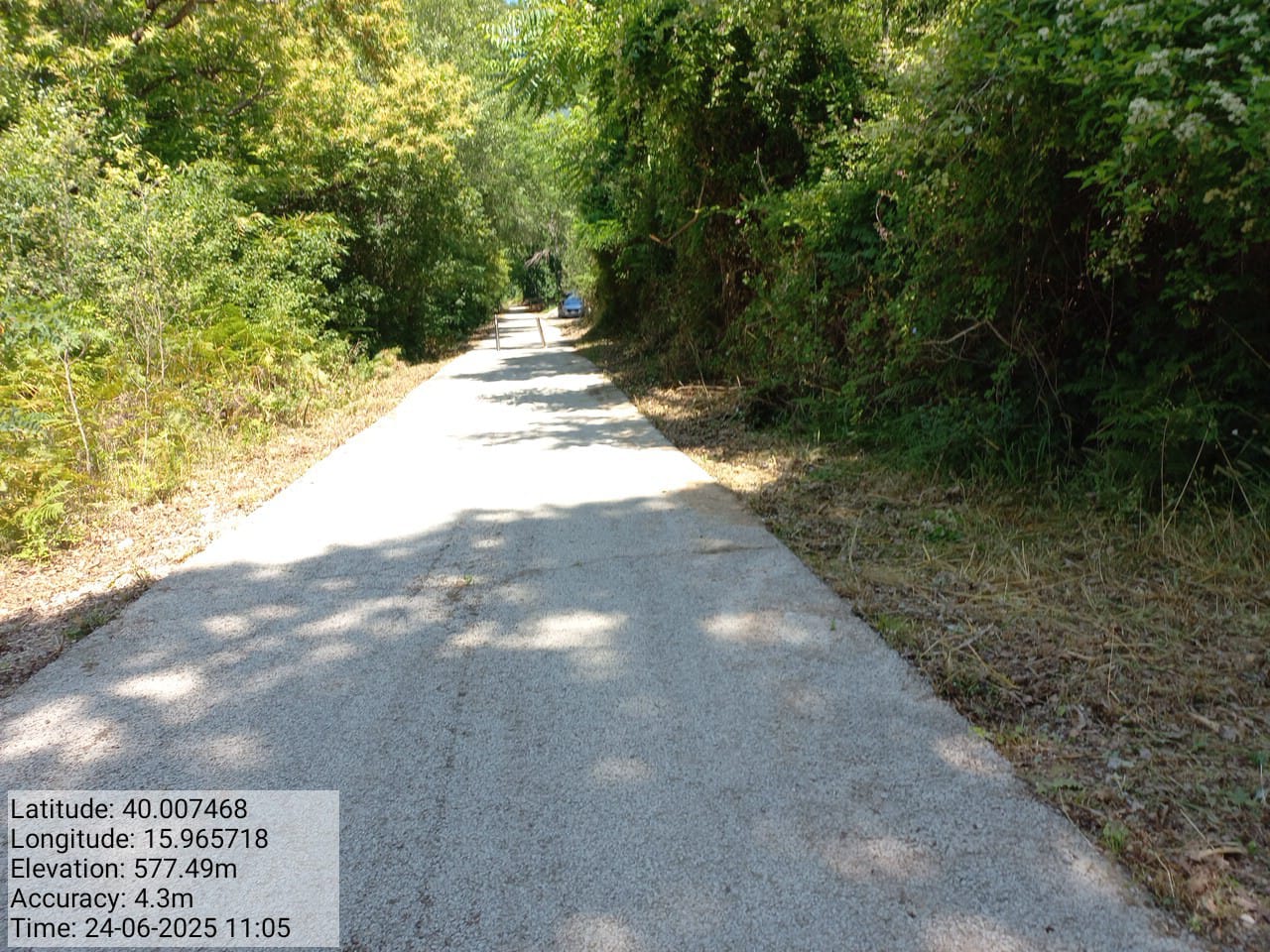 Galleria Fotografica Immagine