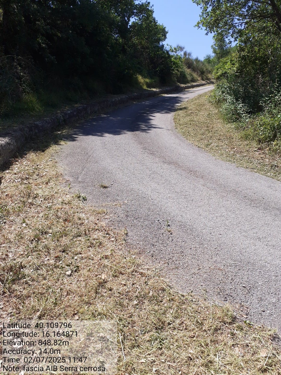 Galleria Fotografica Immagine