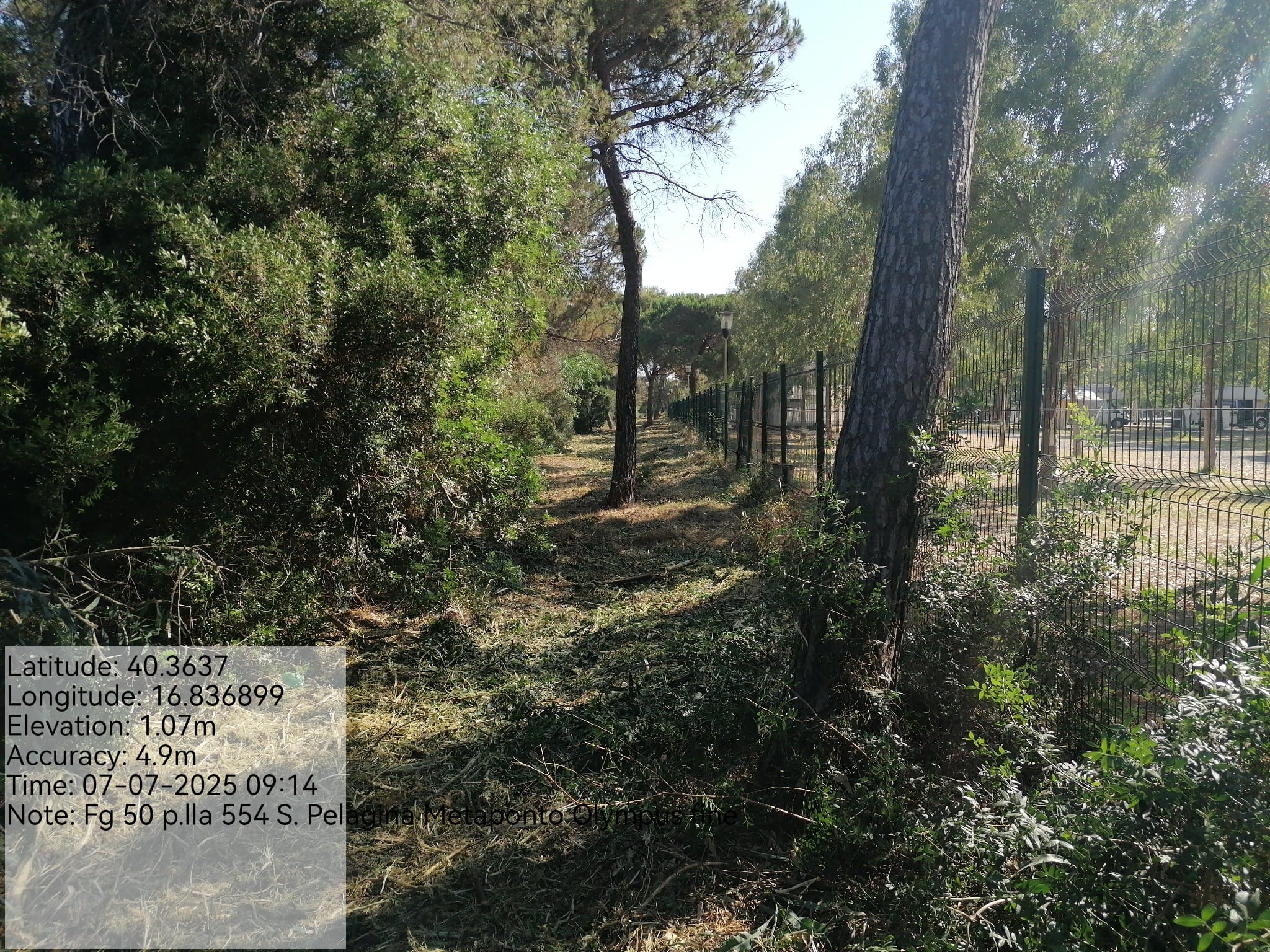 Galleria Fotografica Immagine