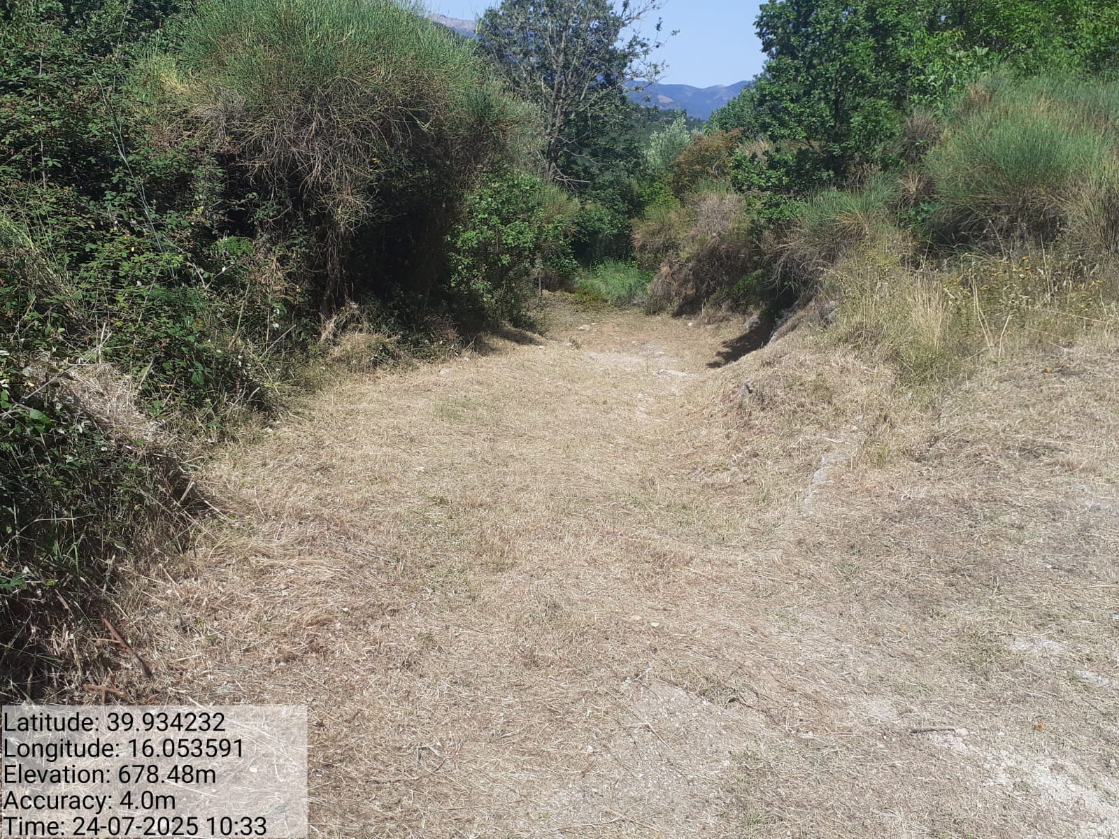 Galleria Fotografica Immagine