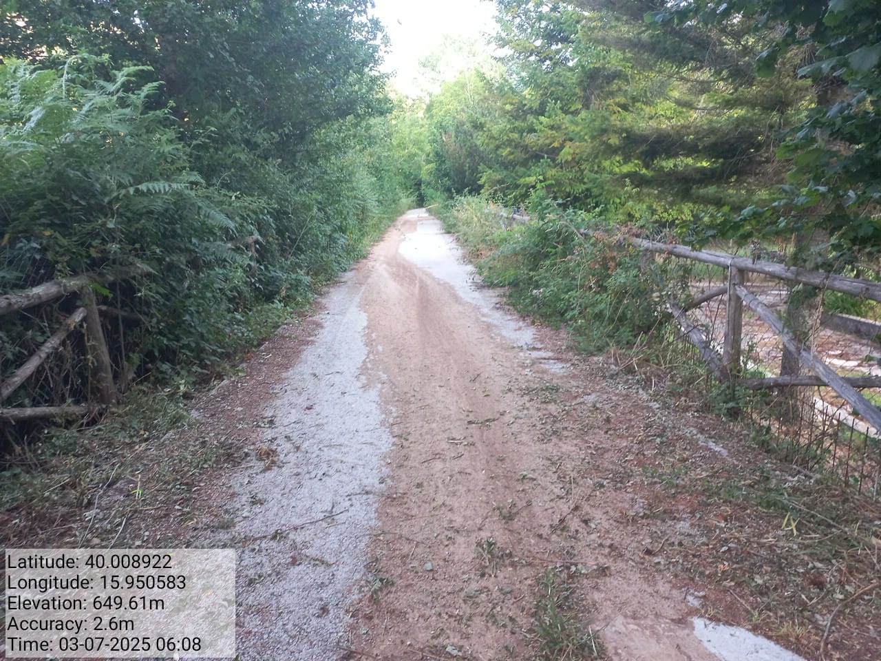 Galleria Fotografica Immagine