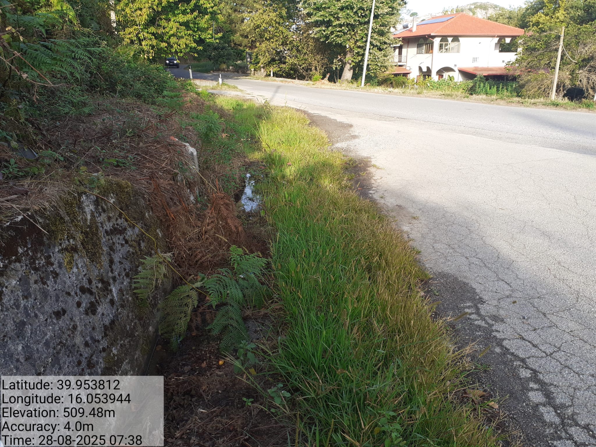 Galleria Fotografica Immagine