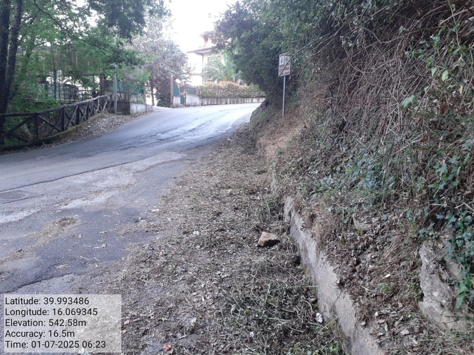 Galleria Fotografica Immagine