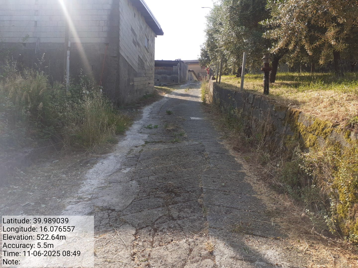 Galleria Fotografica Immagine